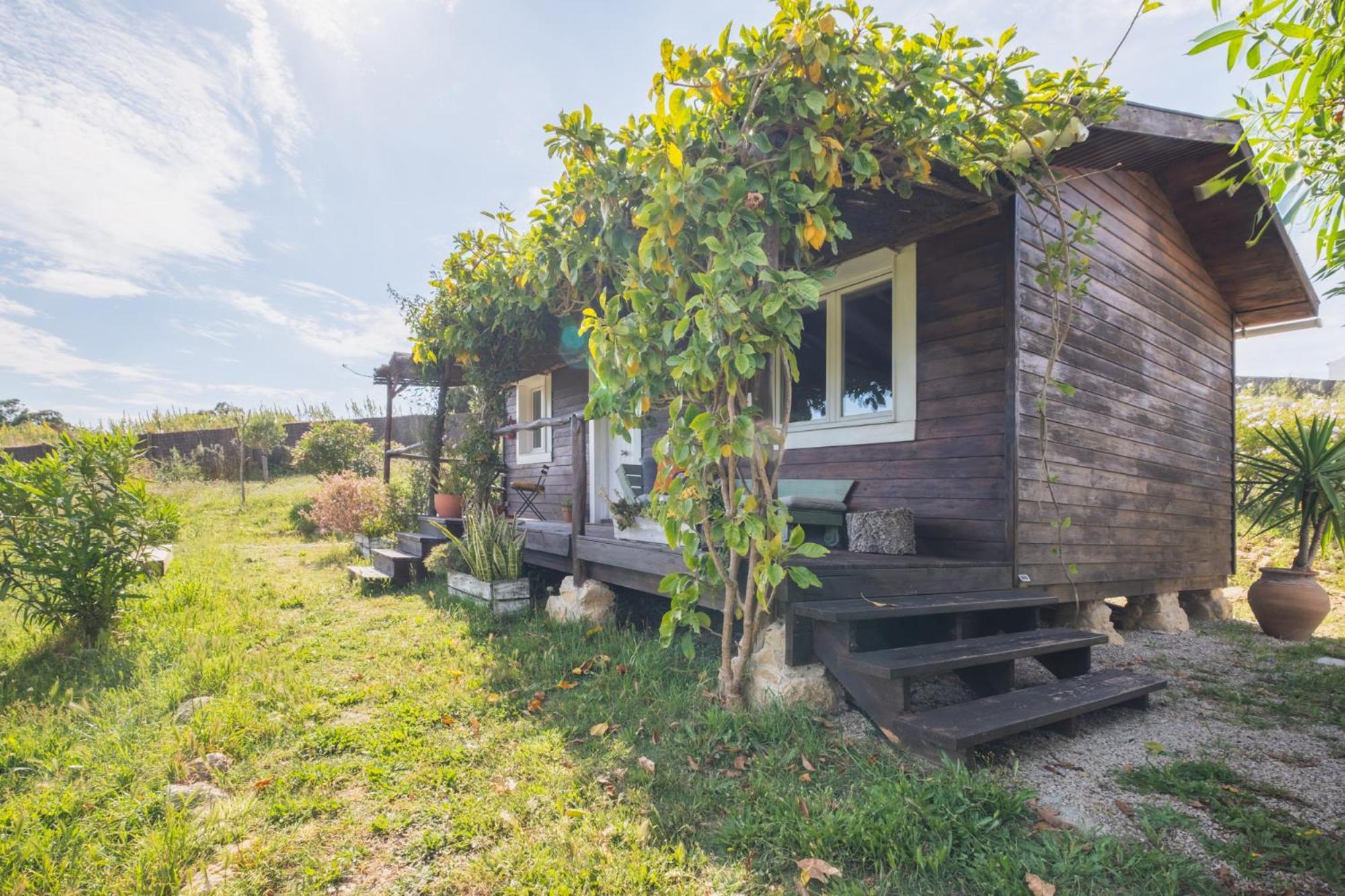 카디스 Ruralcamomo 빌라 외부 사진